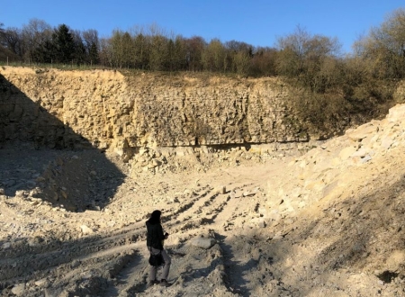 BaumbergerSandsteinbruch-kl